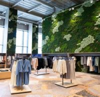 تصویر منویاجرای پروژه های دیوار خزه ای(ماسوال) ماسوال