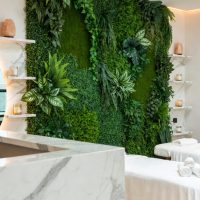 اجرای پروژه های دیوار خزه ای(ماسوال)